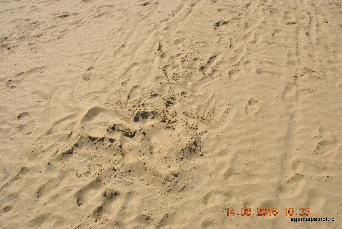 imagini hotel PALM WINGS EPHESUS